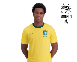 Camiseta da Seleção Brasileira da Nike por apenas R$199