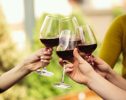 Ganhe 25% OFF em compras acima de R$250!