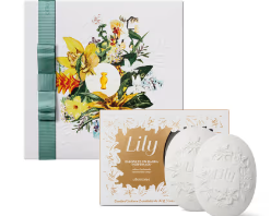 Oferta: Dia das Mães: Presentes até R$59