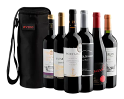 Ganhe uma Bolsa Exclusiva da Evino em compras acima de R$249